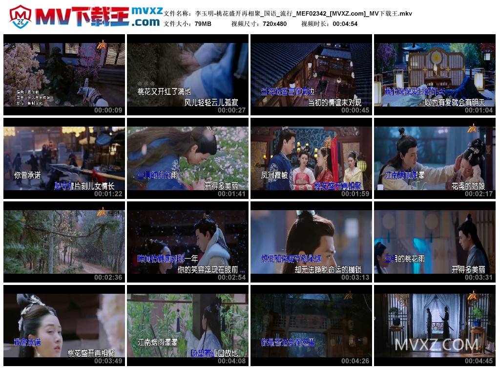 李玉明-桃花盛开再相聚_国语_流行_MEF02342